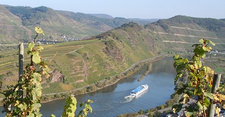 Naves Historia - Die Geschichte von Neef an der Mosel